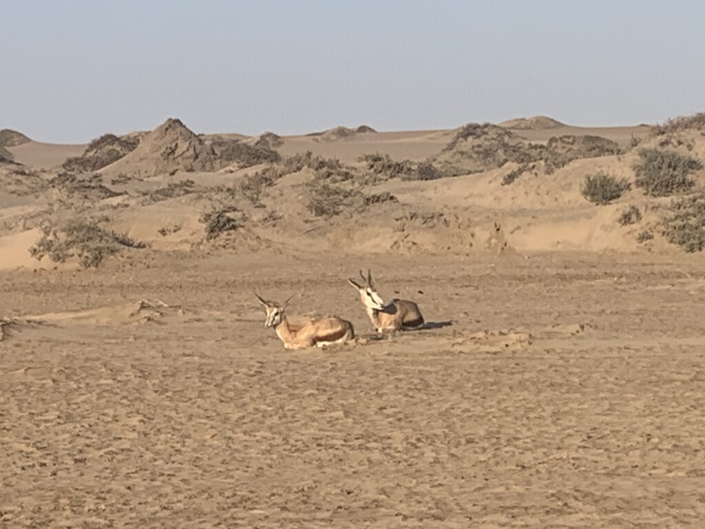 20240506 152436265 Ios