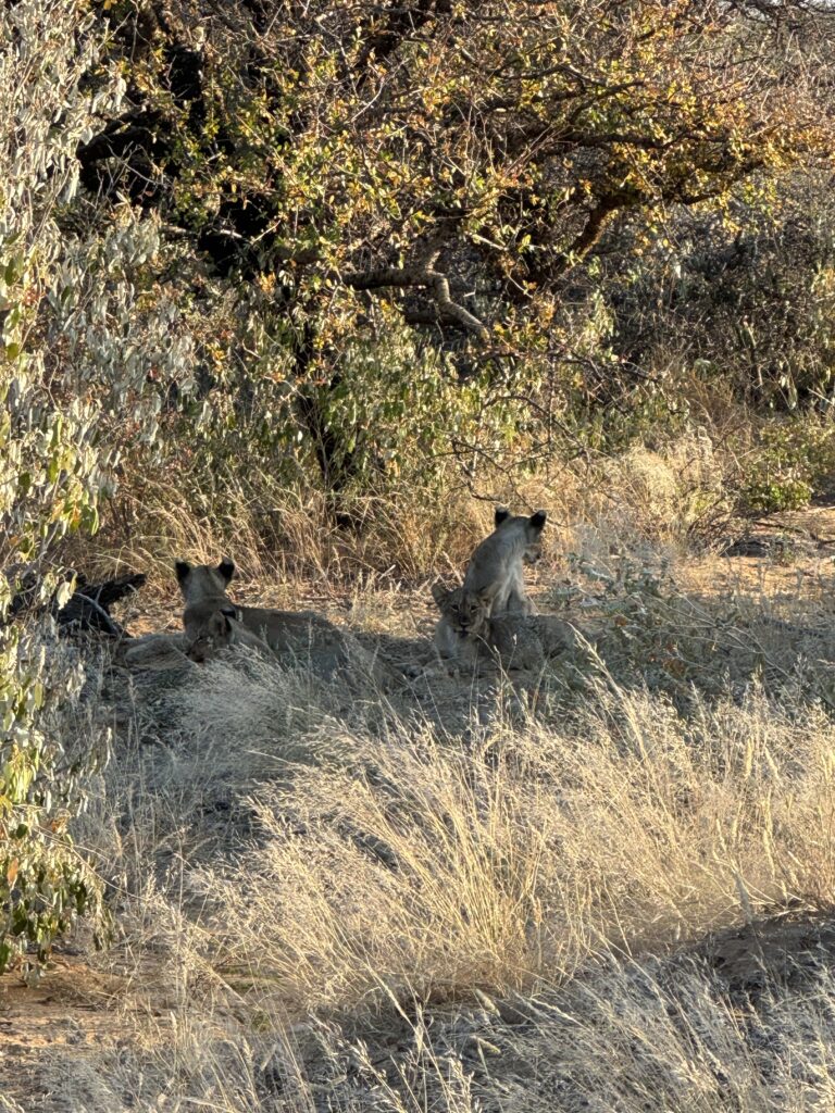 20240508 060352361 Ios