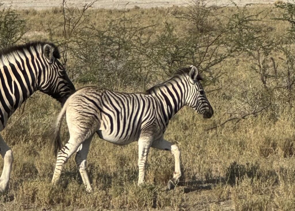 20240508 064802895 Ios