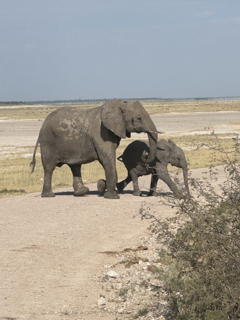 20240508 081126005 Ios