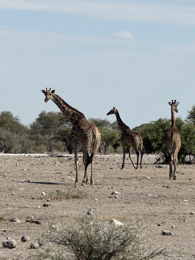 20240508 090656146 Ios